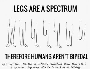 Legs Are A Spectrum